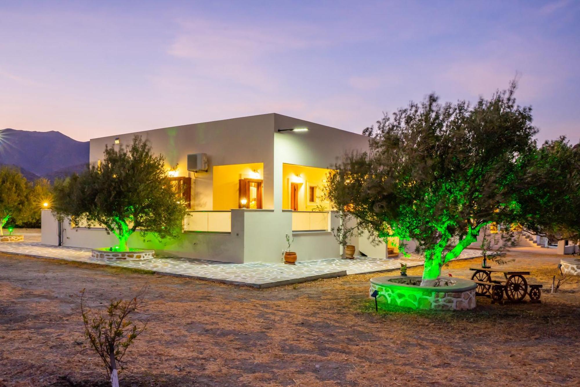Olive Studios Karpathos Studio #4 Exterior photo